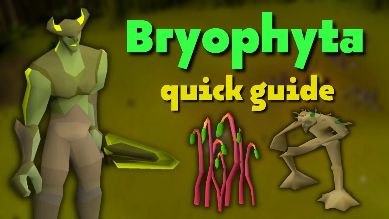 osrs Bryophyta guide
