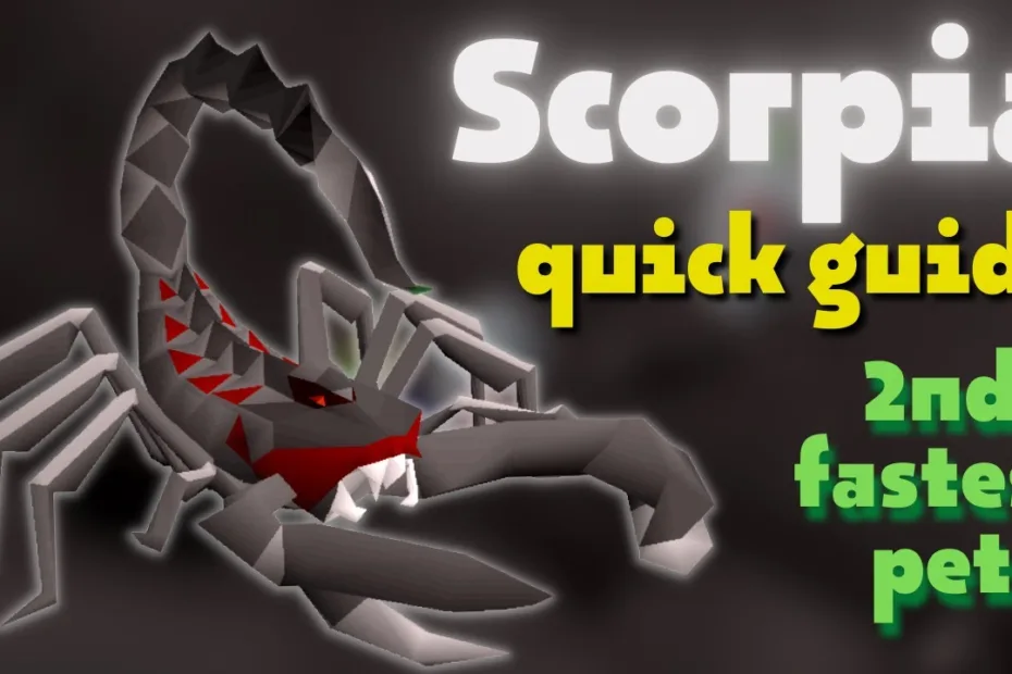 osrs scorpia guide