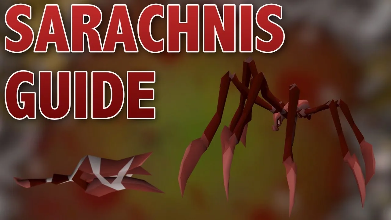 sarachnis guide osrs