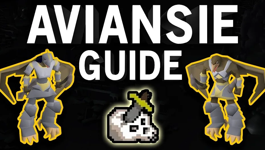 osrs Aviansies guide