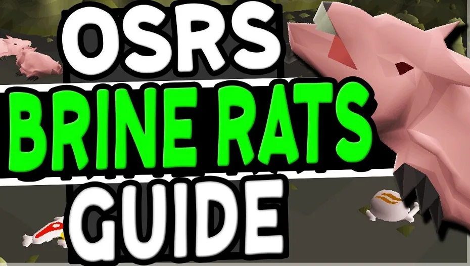 osrs Brine Rats guide