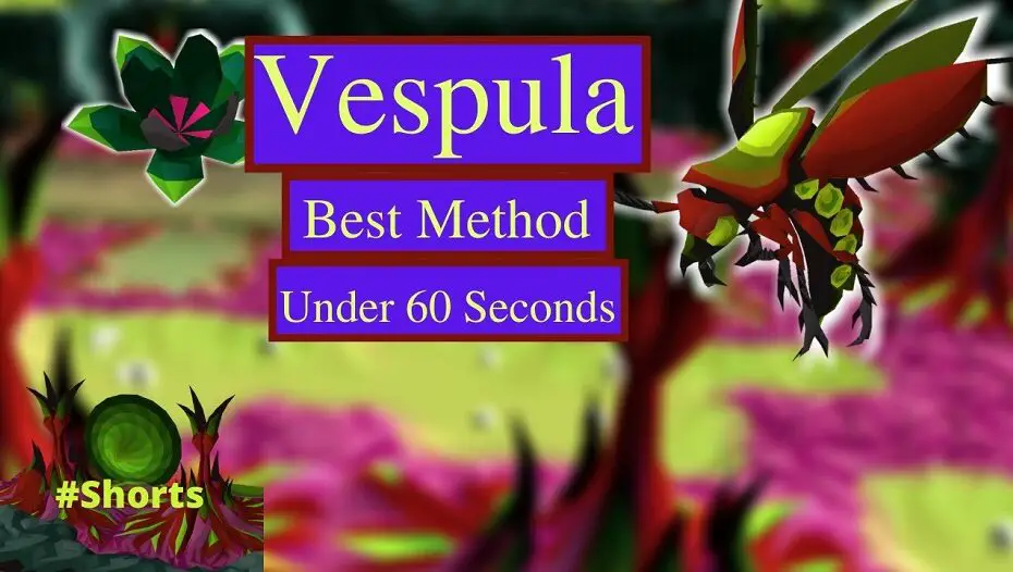 osrs vespula guide