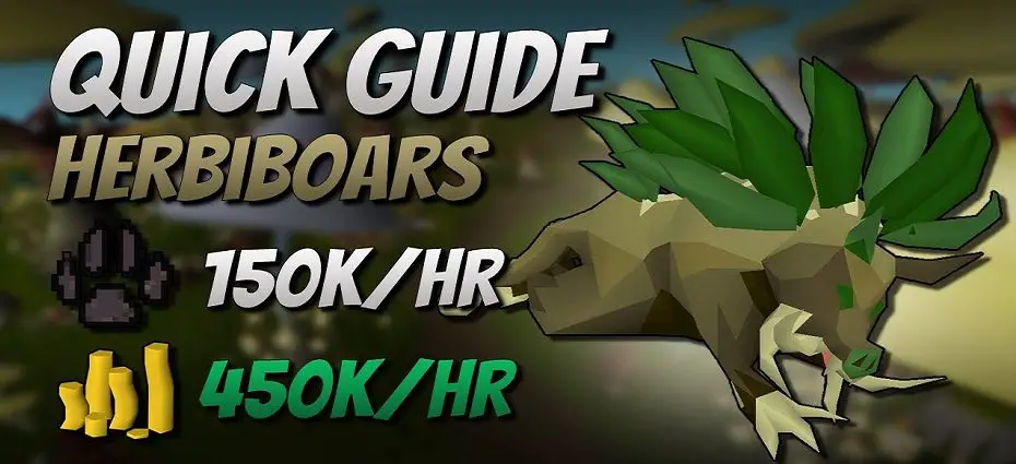 osrs herbiboar guide