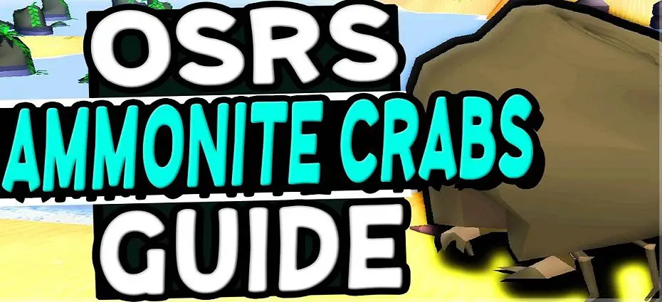 osrs ammonite crabs guide