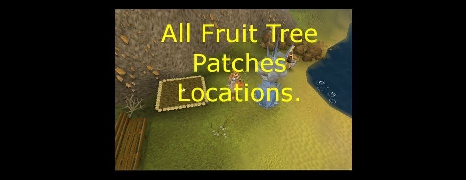 osrs fruit tree patches