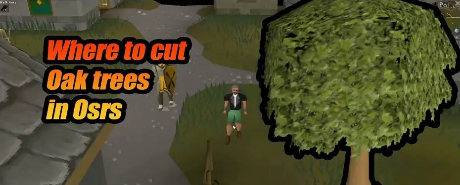 best places to cut oak trees in osrs