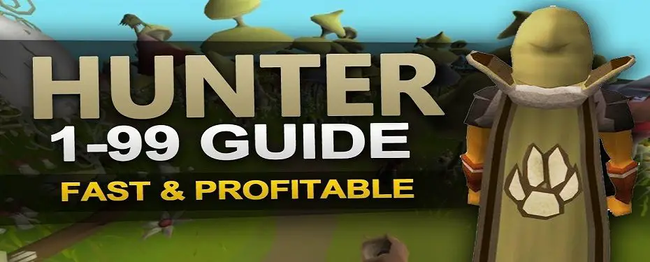 osrs hunter guide